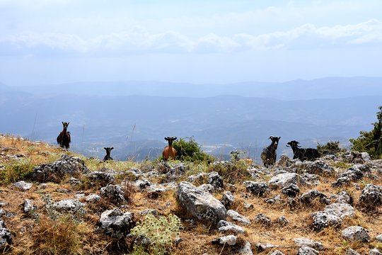 Tour image 13