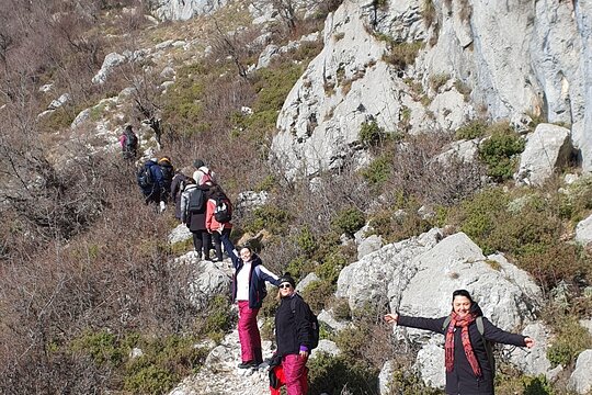 Tour image 11