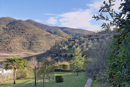 Tour image 11